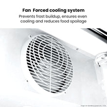 Load image into Gallery viewer, Thermaster Double Glass Door Colourbond Upright Drink Fridge - LG-580P