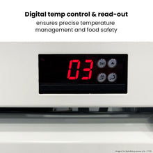 Load image into Gallery viewer, Thermaster Double Glass Door Colourbond Upright Drink Fridge - LG-580P