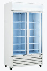 Double Glass Door Colourbond Upright Drink Fridge - LG-1200GT