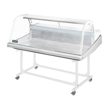 Load image into Gallery viewer, Polar Counter Top Serve Over Fish Display Unit White - 1245mm
