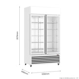Thermaster Large Two Glass Door Colourbond Upright Drink Fridge - LG-1200P