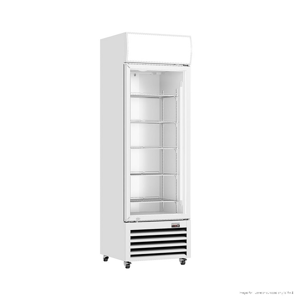 Thermaster LG-540P Single Glass Door Drinks Fridge 530L – White