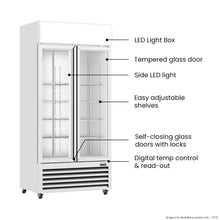 Load image into Gallery viewer, Thermaster Double Glass Door Colourbond Upright Drink Fridge - LG-580P
