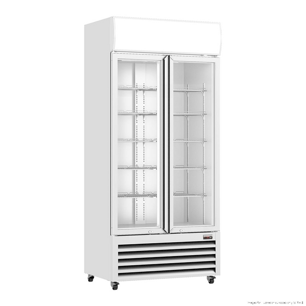 Thermaster Double Glass Door Colourbond Upright Drink Fridge 880 x 610 x 1973mm 487L
