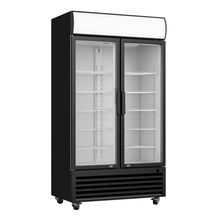 Load image into Gallery viewer, Thermaster Double Glass Door Colourbond Upright Drink Fridge LG-580BP
